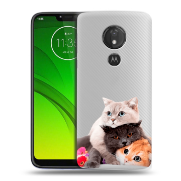 Силиконовый чехол на Motorola Moto G7 Power с принтом Кошки