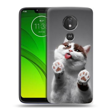 Силиконовый чехол на Motorola Moto G7 Power с принтом Коты