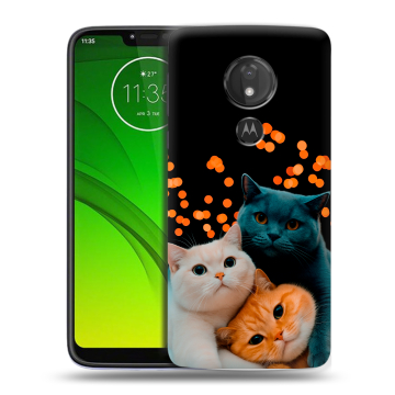 Силиконовый чехол на Motorola Moto G7 Power с принтом Кошки