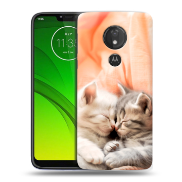 Силиконовый чехол на Motorola Moto G7 Power с принтом Котята