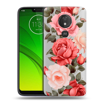 Силиконовый чехол на Motorola Moto G7 Power с принтом Розы