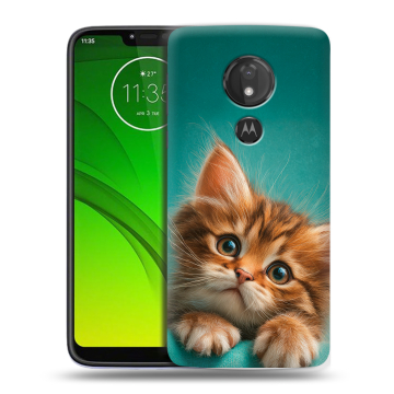 Силиконовый чехол на Motorola Moto G7 Power с принтом котенок