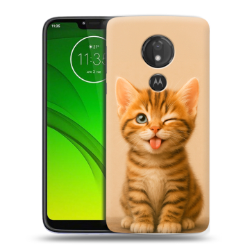 Силиконовый чехол на Motorola Moto G7 Power с принтом котенок