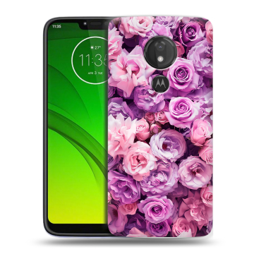 Силиконовый чехол на Motorola Moto G7 Power с принтом лавандовые розы Силиконовый чехол на Motorola Moto G7 Power с принтом лавандовые розы
