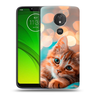 Силиконовый чехол на Motorola Moto G7 Power с принтом котик
