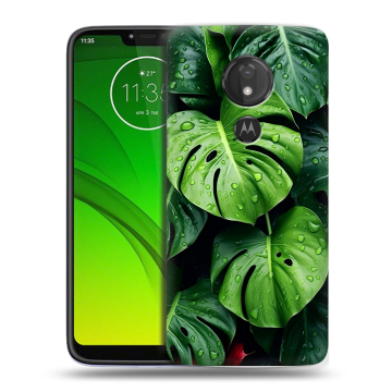 Силиконовый чехол на Motorola Moto G7 Power с принтом Листья