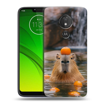 Силиконовый чехол на Motorola Moto G7 Power с принтом Капибара с апельсином