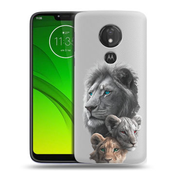 Силиконовый чехол на Motorola Moto G7 Power с принтом Львы Силиконовый чехол на Motorola Moto G7 Power с принтом Львы