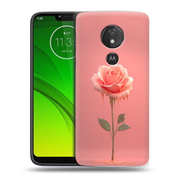 Силиконовый чехол на Motorola Moto G7 Power с принтом Розовая роза Силиконовый чехол на Motorola Moto G7 Power с принтом Розовая роза