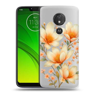 Силиконовый чехол на Motorola Moto G7 Power с принтом Цветы Силиконовый чехол на Motorola Moto G7 Power с принтом Цветы