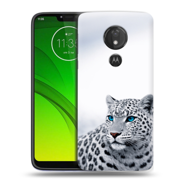 Силиконовый чехол на Motorola Moto G7 Power с принтом женский