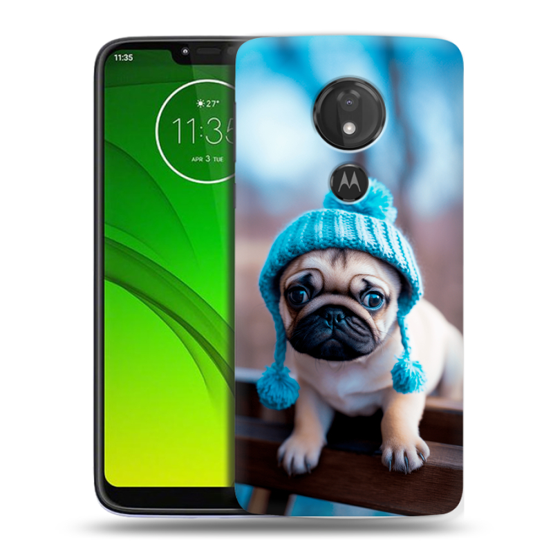 Силиконовый чехол на Motorola Moto G7 Power с принтом Мопс в шапке Силиконовый чехол на Motorola Moto G7 Power с принтом Мопс в шапке