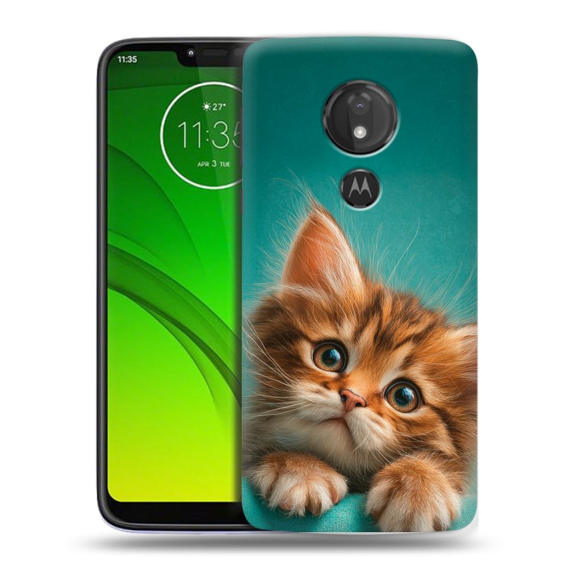 Силиконовый чехол на Motorola Moto G7 Power с принтом котенок Силиконовый чехол на Motorola Moto G7 Power с принтом котенок