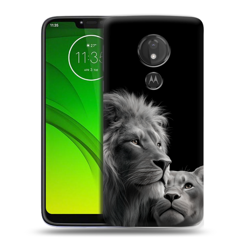 Силиконовый чехол на Motorola Moto G7 Power с принтом Лев кошки Силиконовый чехол на Motorola Moto G7 Power с принтом Лев кошки
