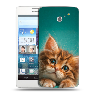 Пластиковый чехол на Huawei Ascend D2 с принтом котенок Пластиковый чехол на Huawei Ascend D2 с принтом котенок