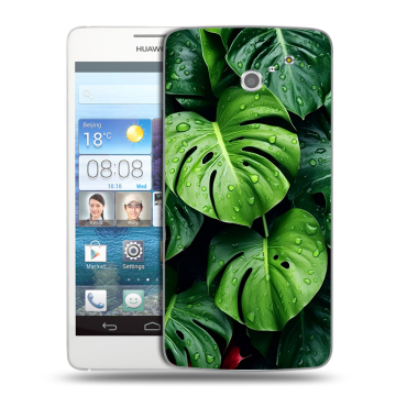 Пластиковый чехол на Huawei Ascend D2 с принтом Листья Пластиковый чехол на Huawei Ascend D2 с принтом Листья