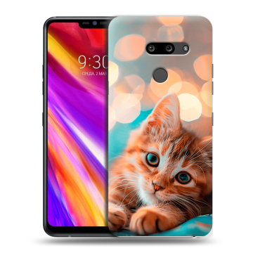 Пластиковый чехол на LG G8 ThinQ с принтом котик