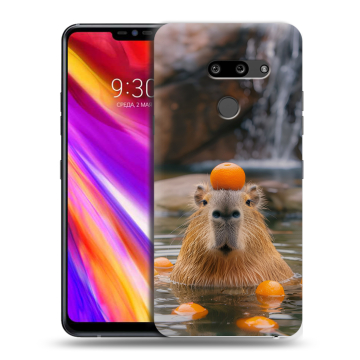 Пластиковый чехол на LG G8 ThinQ с принтом Капибара с апельсином