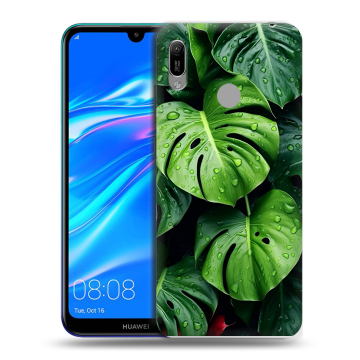 Силиконовый противоударный чехол на Huawei Y6 (2019) с принтом Листья