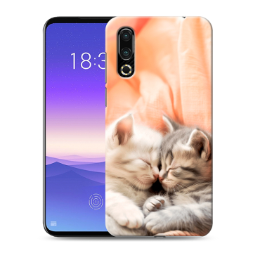 Пластиковый чехол на Meizu 16s с принтом Котята