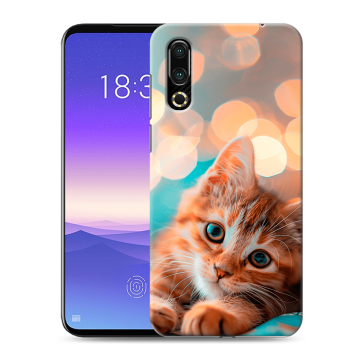 Пластиковый чехол на Meizu 16s с принтом котик