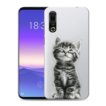 Пластиковый чехол на Meizu 16s с принтом Котенок