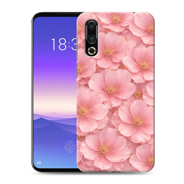 Пластиковый чехол на Meizu 16s с принтом женский