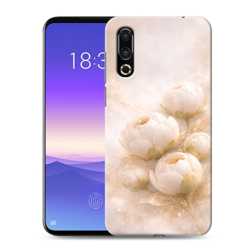 Пластиковый чехол на Meizu 16s с принтом женский