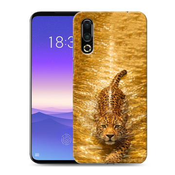Пластиковый чехол на Meizu 16s с принтом женский