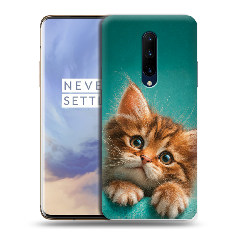 Пластиковый чехол на OnePlus 7 Pro с принтом котенок Пластиковый чехол на OnePlus 7 Pro с принтом котенок