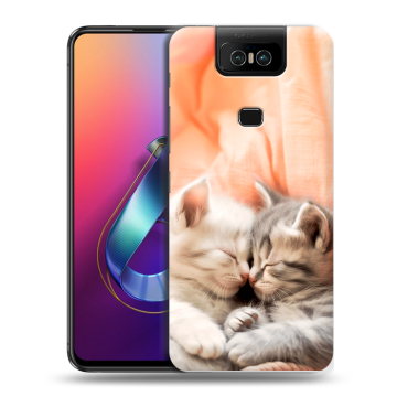 Пластиковый чехол на ASUS ZenFone 6 ZS630KL с принтом Котята Пластиковый чехол на ASUS ZenFone 6 ZS630KL с принтом Котята