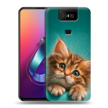 Пластиковый чехол на ASUS ZenFone 6 ZS630KL с принтом котенок Пластиковый чехол на ASUS ZenFone 6 ZS630KL с принтом котенок