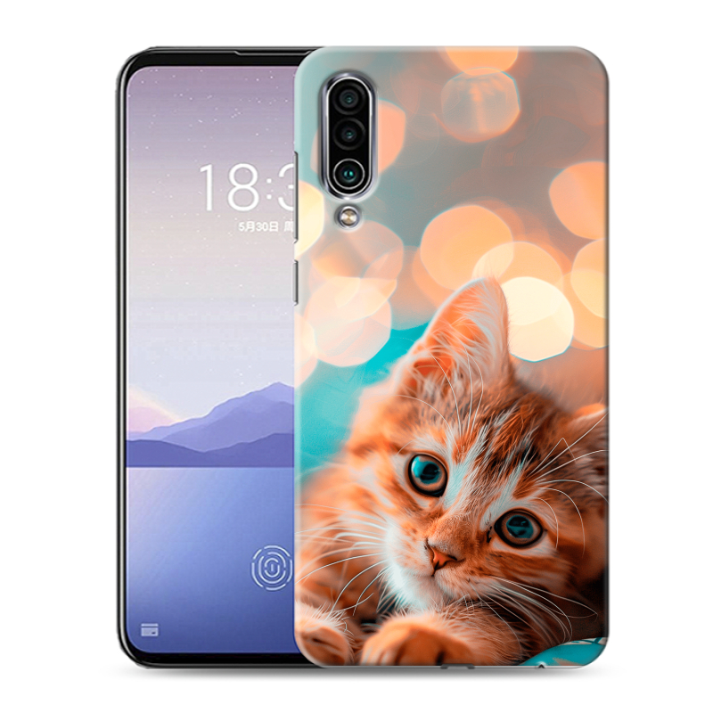 Силиконовый чехол на Meizu 16Xs с принтом котик Силиконовый чехол на Meizu 16Xs с принтом котик