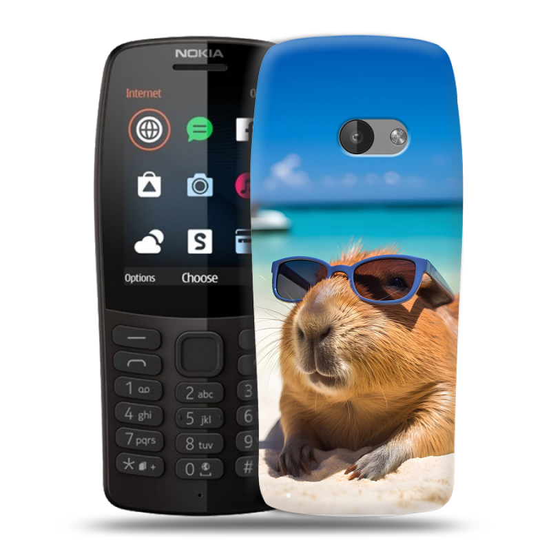 Силиконовый чехол на Nokia 210 с принтом Капибара Силиконовый чехол на Nokia 210 с принтом Капибара