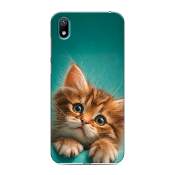 Силиконовый чехол на Huawei Y5 (2019) с принтом котенок Силиконовый чехол на Huawei Y5 (2019) с принтом котенок