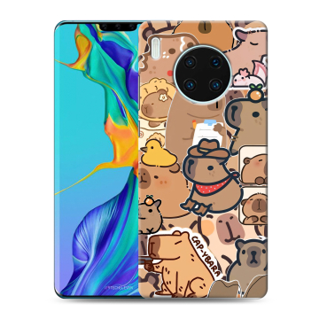 Силиконовый чехол на Huawei Mate 30 Pro с принтом капибара Силиконовый чехол на Huawei Mate 30 Pro с принтом капибара