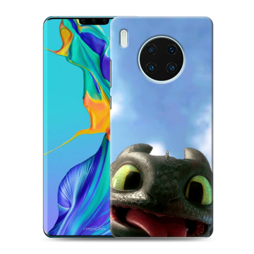 Силиконовый чехол на Huawei Mate 30 Pro с принтом Как приручить дракона