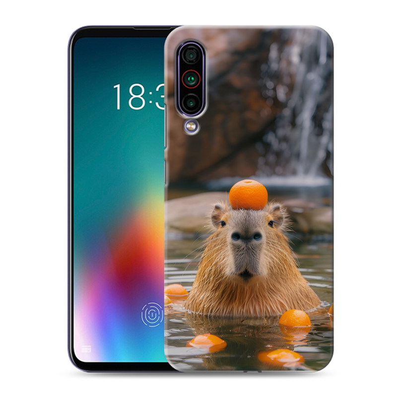 Силиконовый чехол на Meizu 16T с принтом Капибара с апельсином Силиконовый чехол на Meizu 16T с принтом Капибара с апельсином
