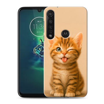 Силиконовый чехол на Motorola Moto G8 Plus с принтом котенок