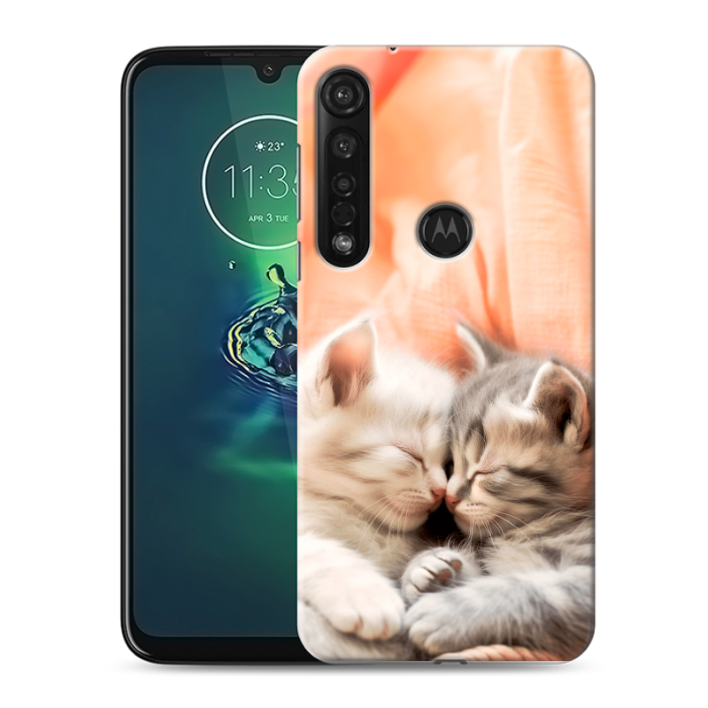 Силиконовый чехол на Motorola Moto G8 Plus с принтом Котята Силиконовый чехол на Motorola Moto G8 Plus с принтом Котята