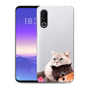Пластиковый чехол на Meizu 16s Pro с принтом Кошки Пластиковый чехол на Meizu 16s Pro с принтом Кошки
