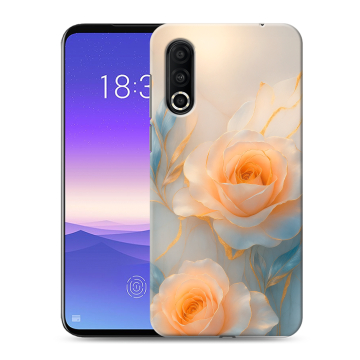 Пластиковый чехол на Meizu 16s Pro с принтом Женский Пластиковый чехол на Meizu 16s Pro с принтом Женский