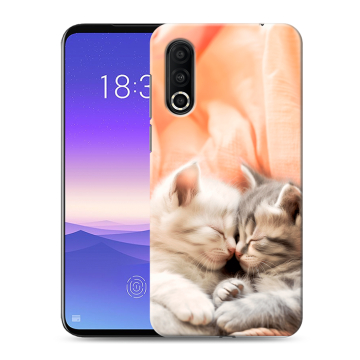 Пластиковый чехол на Meizu 16s Pro с принтом Котята Пластиковый чехол на Meizu 16s Pro с принтом Котята