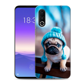 Пластиковый чехол на Meizu 16s Pro с принтом Мопс в шапке