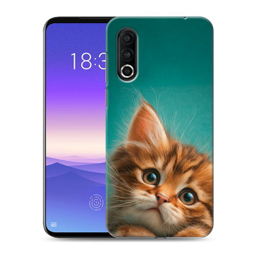 Пластиковый чехол на Meizu 16s Pro с принтом котенок