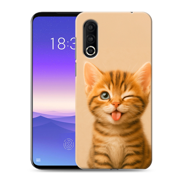 Пластиковый чехол на Meizu 16s Pro с принтом котенок