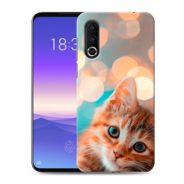 Пластиковый чехол на Meizu 16s Pro с принтом котик