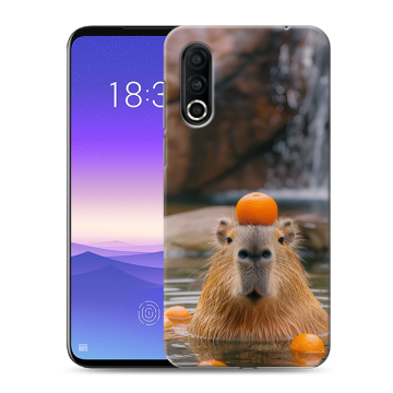 Пластиковый чехол на Meizu 16s Pro с принтом Капибара с апельсином Пластиковый чехол на Meizu 16s Pro с принтом Капибара с апельсином