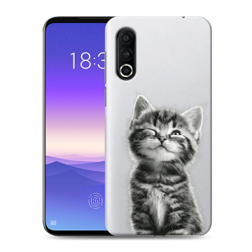 Пластиковый чехол на Meizu 16s Pro с принтом Котенок