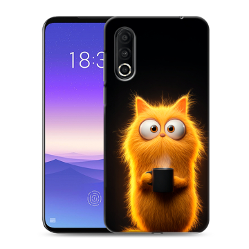 Пластиковый чехол на Meizu 16s Pro с принтом Смешной кот